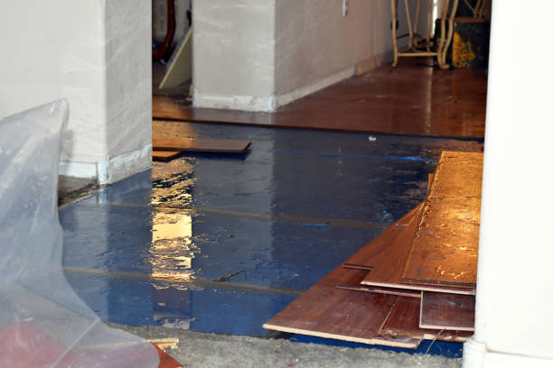 Professional Crawl Space Water Removal technician working in Maple Rapids, MI